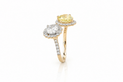 Golden Toi et Moi Halo Diamond Ring
