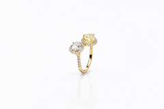 Golden Toi et Moi Halo Diamond Ring