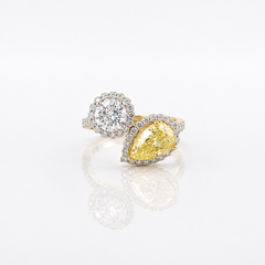 Golden Toi et Moi Halo Diamond Ring